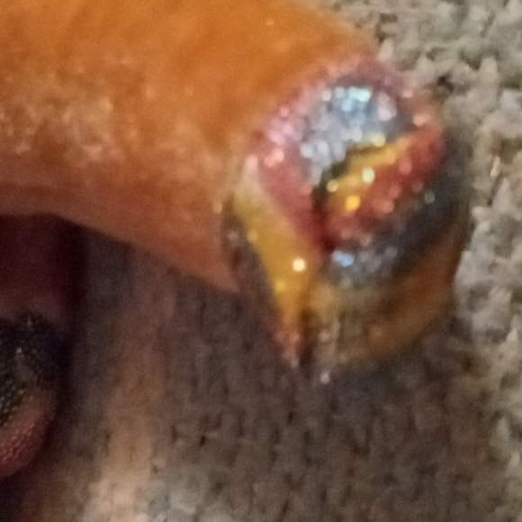 NWT "HORSE", the Cute Little TY Beanie Baby with Colorful Mane & Sparkly Hooves - Picture 4 of 7